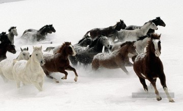 Animaux œuvres - chevaux de course sur la neige